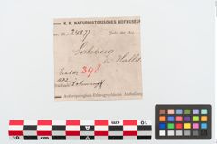 Etiketten zu Bronzemelonenarmreif (NHMW-PRAE-024877)